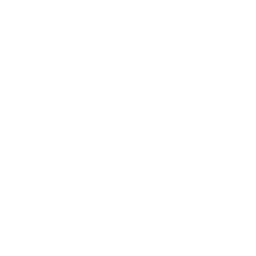 ce logo Evanston